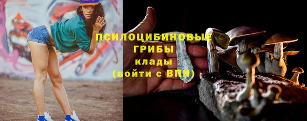 a pvp Баксан