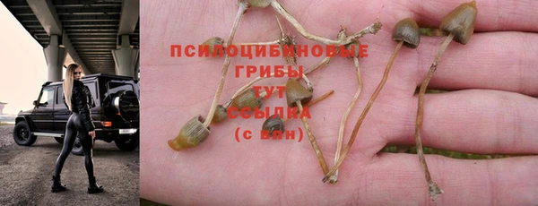 молекула духа Балахна