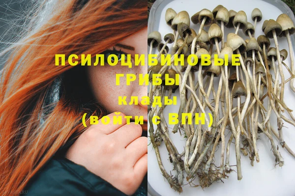 меф Гусь-Хрустальный